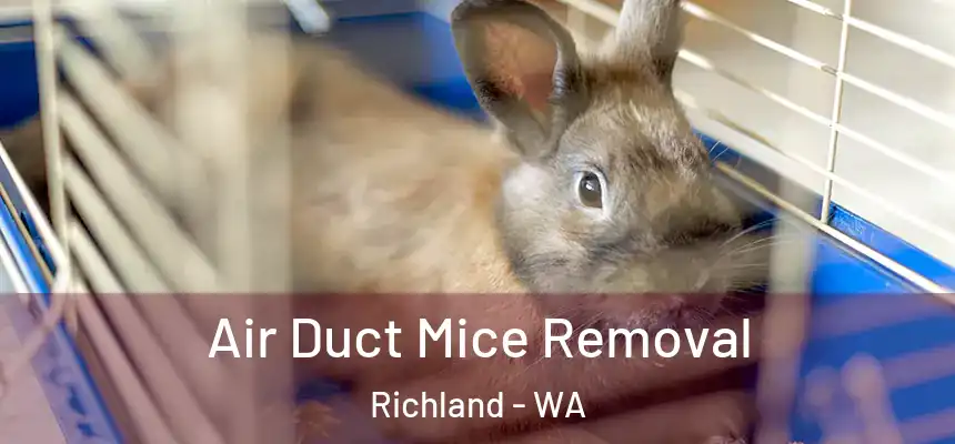 Air Duct Mice Removal Richland - WA