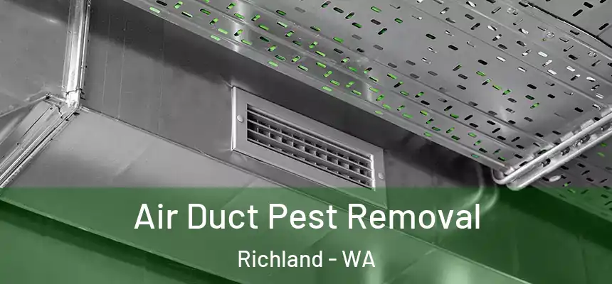 Air Duct Pest Removal Richland - WA