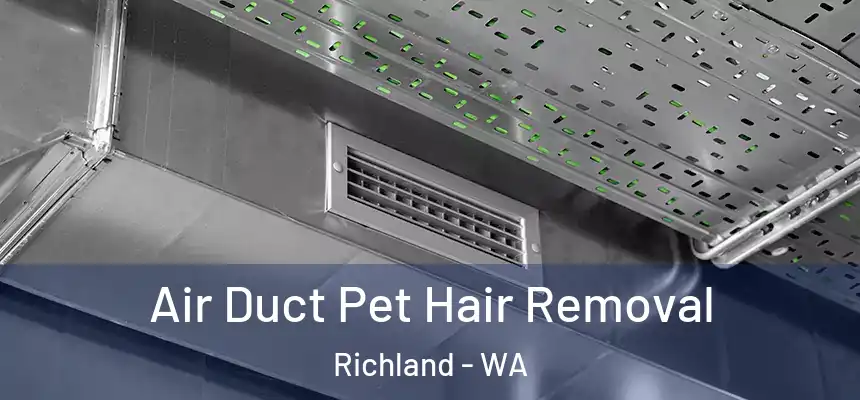 Air Duct Pet Hair Removal Richland - WA