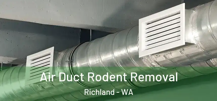  Air Duct Rodent Removal Richland - WA