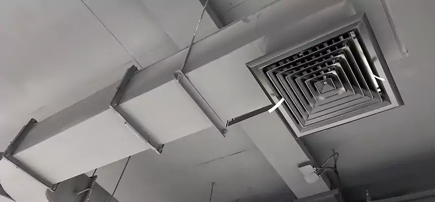 Restorative Allergy Relief Vent Cleaning – Coil, Blower & Housing Detail in Richland