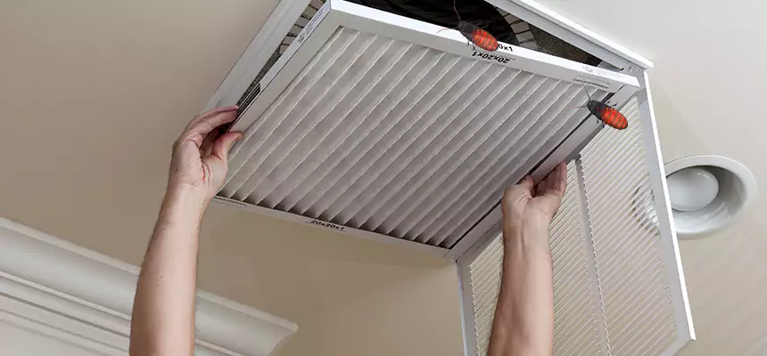 Our Insect Removal from Air Ducts Services in Richland, WA