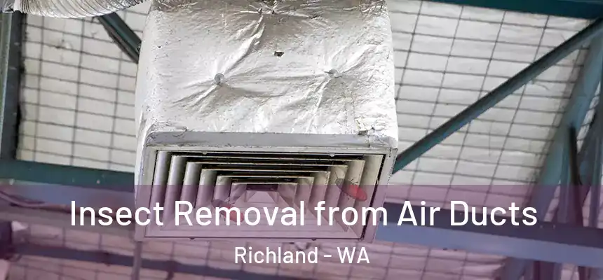 Insect Removal from Air Ducts Richland - WA