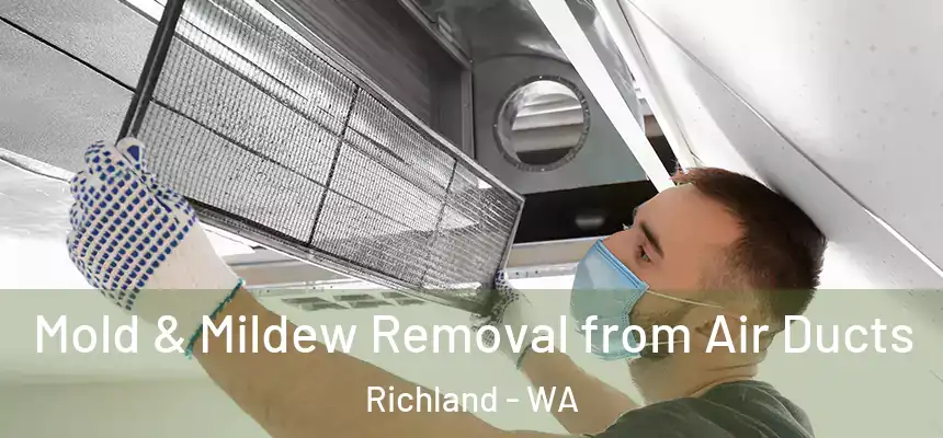 Mold & Mildew Removal from Air Ducts Richland - WA