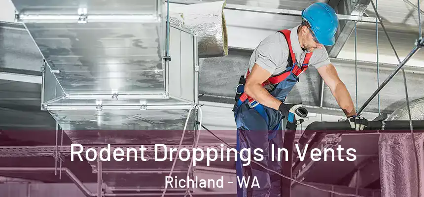  Rodent Droppings In Vents Richland - WA