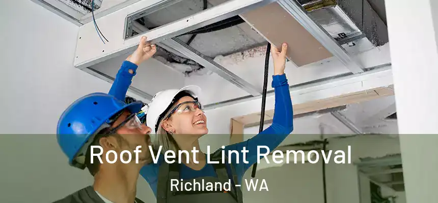  Roof Vent Lint Removal Richland - WA
