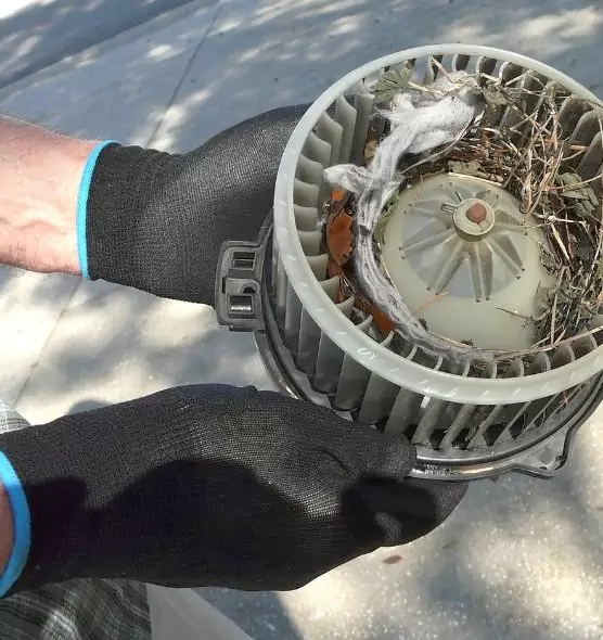 About Air Duct Rat Removal in Richland, WA