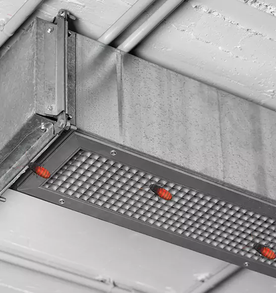 Affordable Insect Removal from Air Ducts in Richland, WA