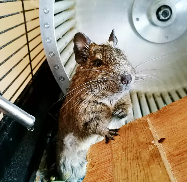 Why Homeowners & Businesses Trust Us Richland, WA